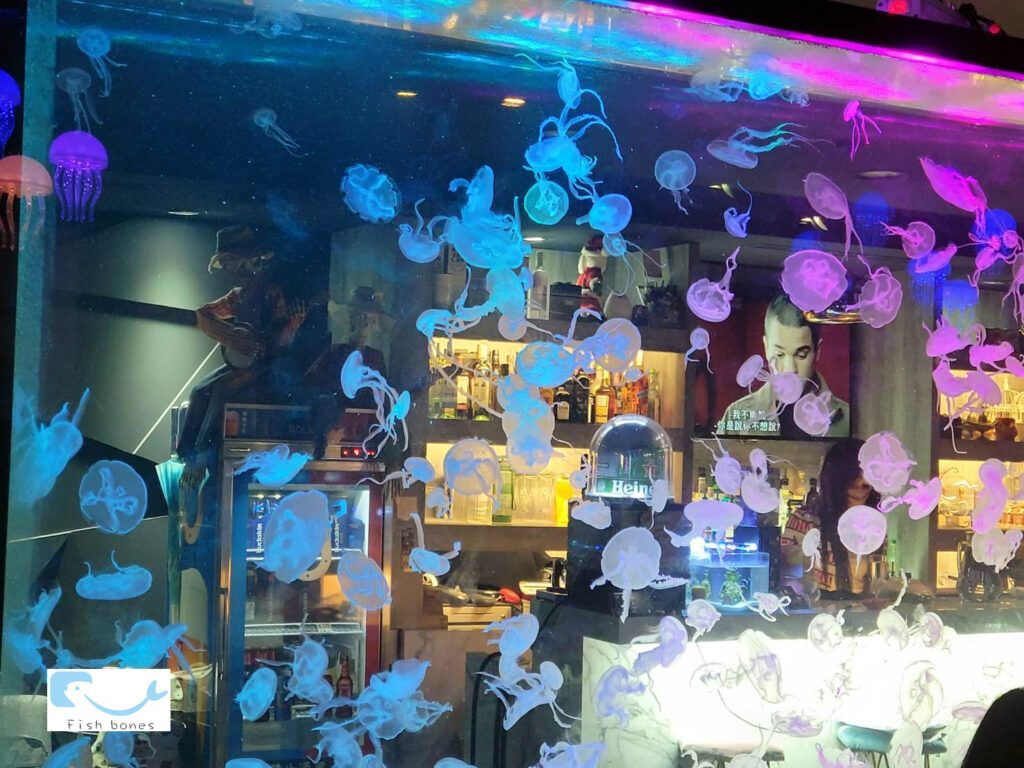 Jellyfish Bistro-水母牆